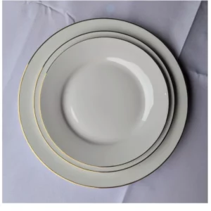 Assiette en porcelaine : Moyenne 21cm